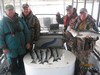 (11/17/2017) - Nice Striped Bass